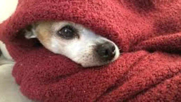frio