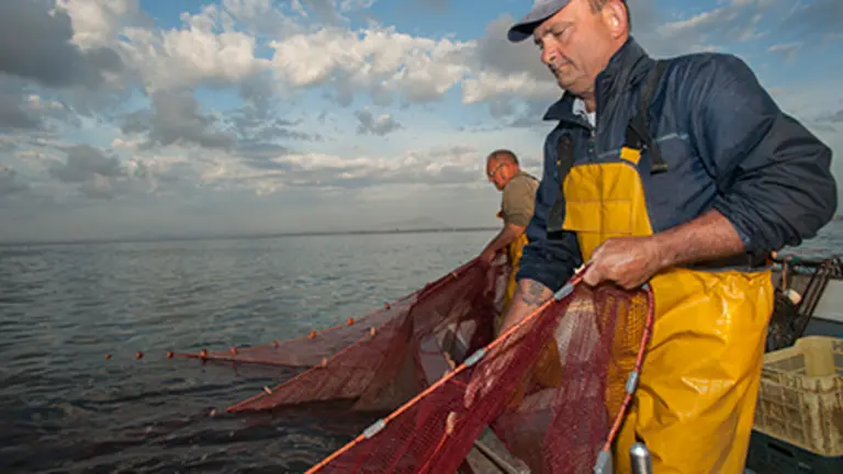 Pesca del sonso. Miguel Murcia, WWF