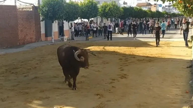 PUERTO SERRANO