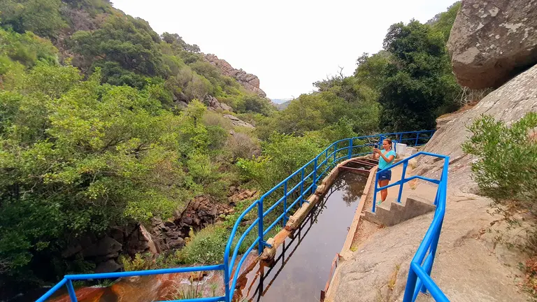 garganta
