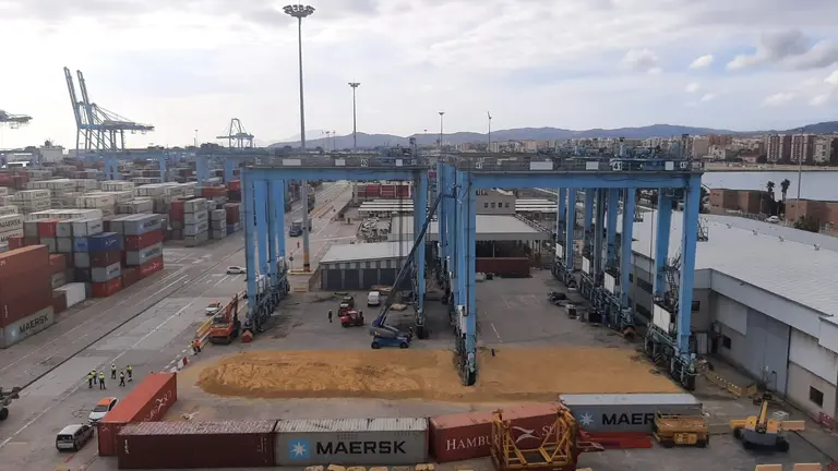 ABATIMIENTO RTG APM TERMINALS (1)