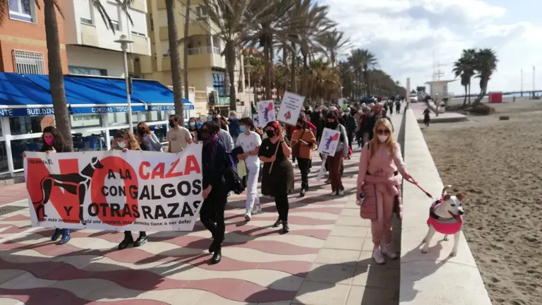 Asociaci&oacute;n Animali de Almer&iacute;a.