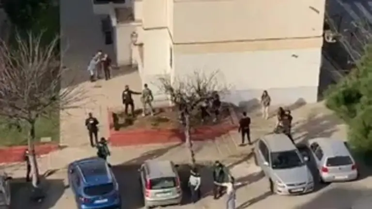 pelea san roque
