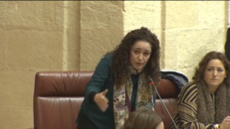 Inmaculada Nieto, en sesi&oacute;n en el Parlamento andaluz