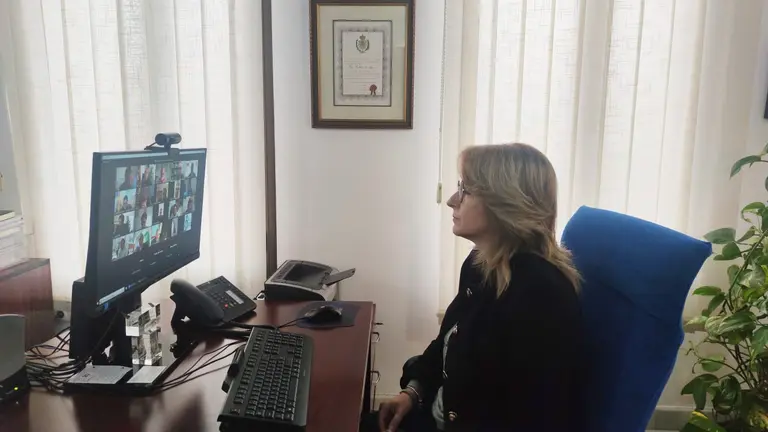 comisi&oacute;n patrimonio