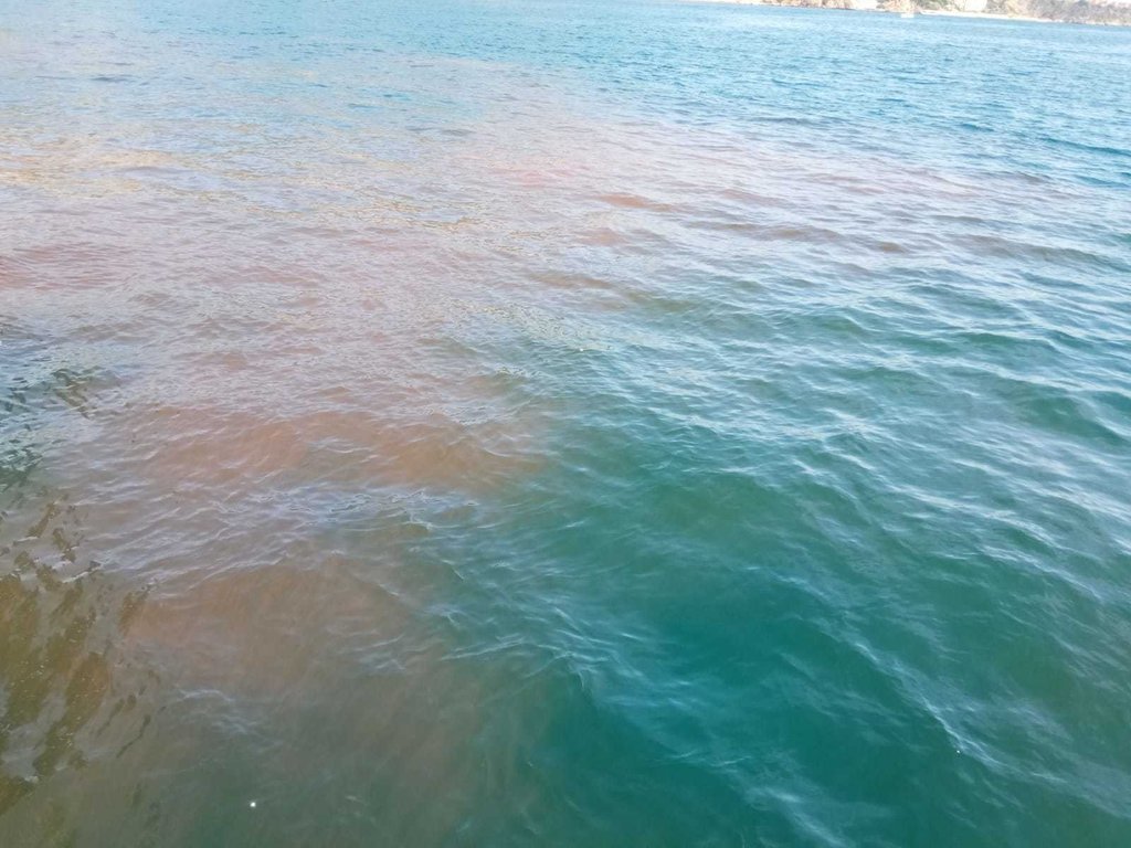 vertido (2)